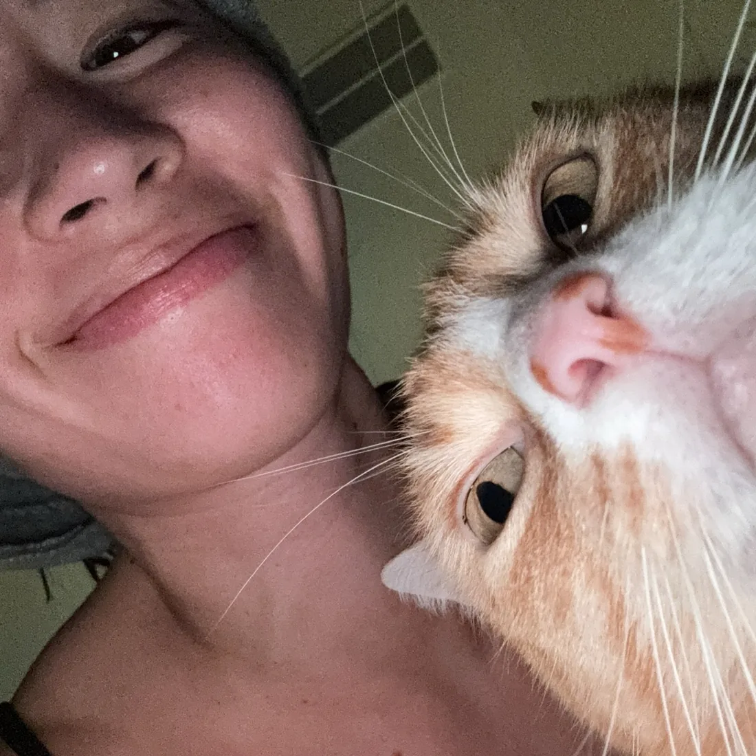Isabel and Maui